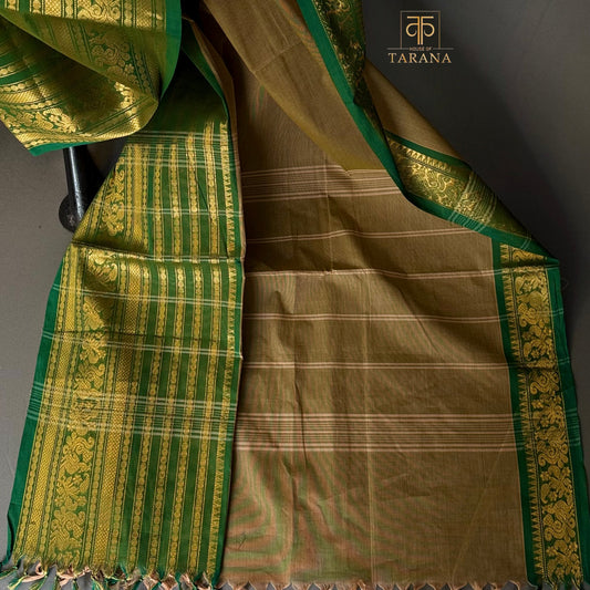 Olive Brown with Green Chettinad Cotton Saree